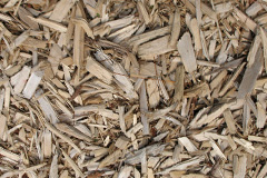 biomass boilers Venngreen