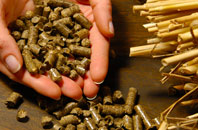 free Venngreen biomass boiler quotes